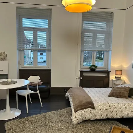 ホームステイ Chambre Lumineuse Les Chambres Bannacker 25 M2 Centre & Gare A Pied *